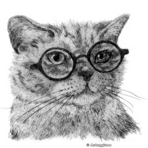 intello_by_asteggiano_copyright